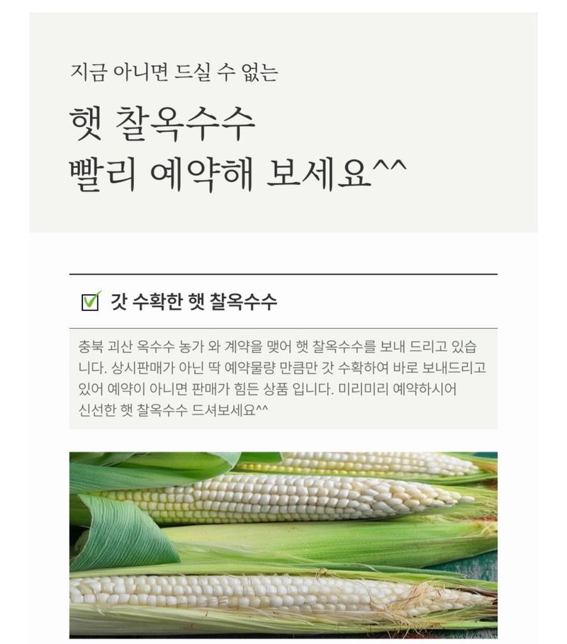 손가네한우님의 장터 판매 상품 [(예약판매) 2024년 햇 찰옥수수 충북 괴산 대학 찰 옥수수 30개] 첨부 사진