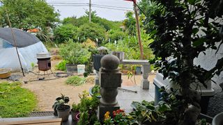 삼례텃밭지기님의 자유주제 · 자유게시판 작성글 사진