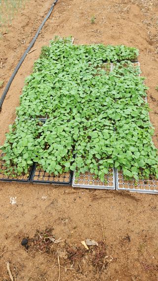 고추7938님의 자유주제 · 자유게시판 작성글 사진