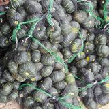 팜모닝 · 게시글 이미지