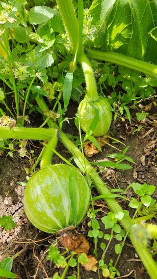 강옥만님의 작성글 사진