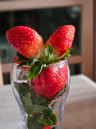 딸기님의 자유주제 · 자유게시판 작성글 사진