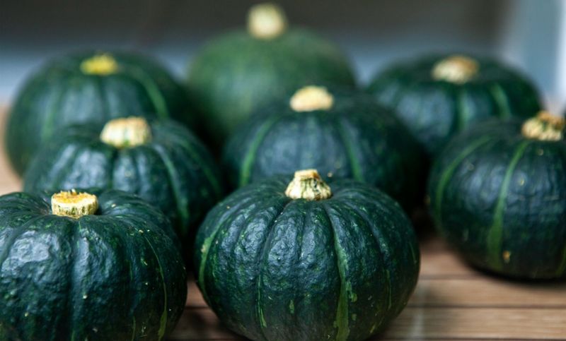 미주팜님의 장터 판매 상품 [제주 해풍맞은 못난이 미니 단호박10kg] 첨부 사진