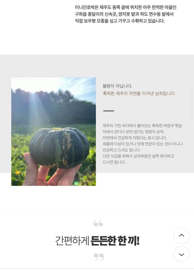 미주팜님의 장터 판매 상품 [제주 해풍맞은 못난이 미니 단호박10kg] 첨부 사진