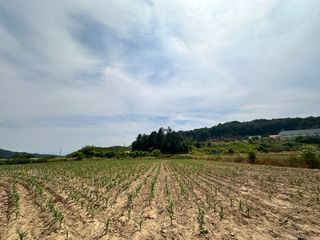 호저*윤정님의 자유주제 · 자유게시판 작성글 사진