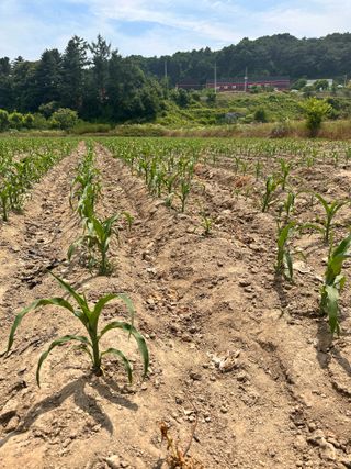 호저*윤정님의 자유주제 · 자유게시판 작성글 사진