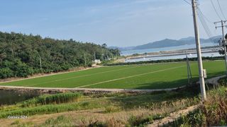 김영래큰집참농장한우님의 벼 · 영농일지 작성글 사진