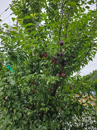 청산거사님의 자유주제 · 사진전 작성글 사진