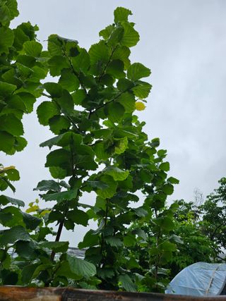 청산거사님의 자유주제 · 사진전 작성글 사진