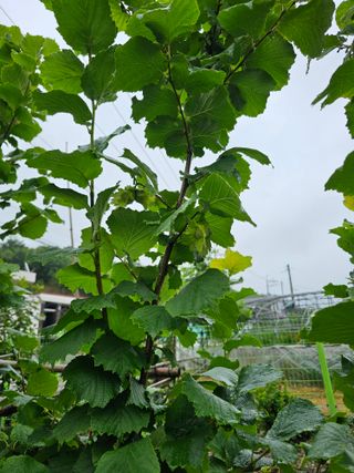 청산거사님의 자유주제 · 사진전 작성글 사진