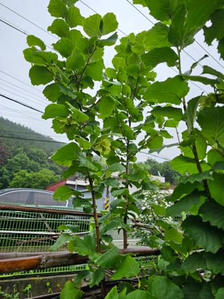 청산거사님의 자유주제 · 사진전 작성글 사진