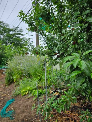 청산거사님의 자유주제 · 사진전 작성글 사진