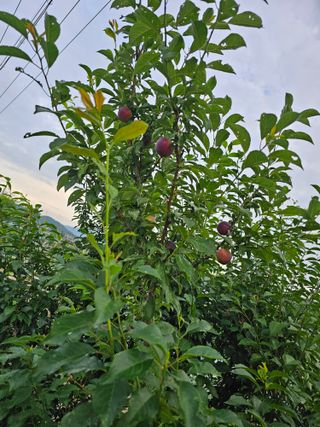 청산거사님의 자유주제 · 사진전 작성글 사진