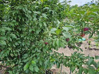 청산거사님의 자유주제 · 사진전 작성글 사진