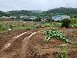 이세호님의 자유주제 · 자유게시판 작성글 사진