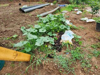 이세호님의 자유주제 · 자유게시판 작성글 사진