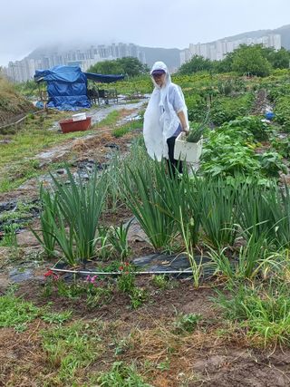 한천수님의 자유주제 · 자유게시판 작성글 사진