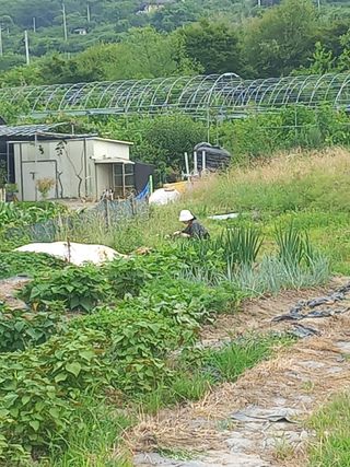 한천수님의 자유주제 · 자유게시판 작성글 사진