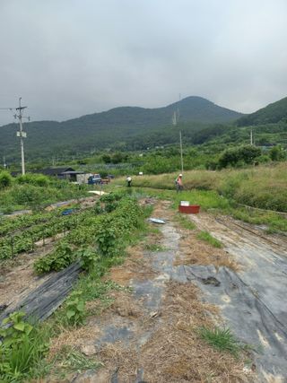 한천수님의 자유주제 · 자유게시판 작성글 사진