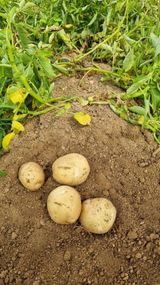 팜모닝 자유주제·자유게시판 게시글 이미지