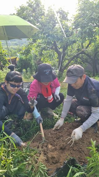 오주연님의 자유주제 · 자유게시판 작성글 사진