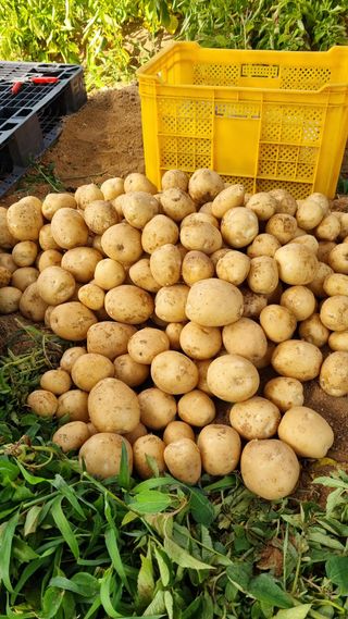 오주연님의 자유주제 · 자유게시판 작성글 사진