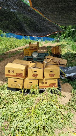 오주연님의 자유주제 · 자유게시판 작성글 사진