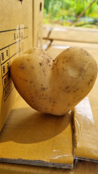 오주연님의 자유주제 · 자유게시판 작성글 사진