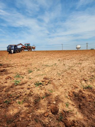 박효식님의 감자 · 영농일지 작성글 사진