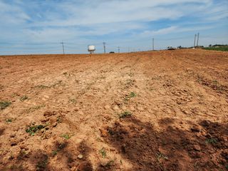박효식님의 감자 · 영농일지 작성글 사진