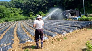 이준호님의 콩 · 영농일지 작성글 사진