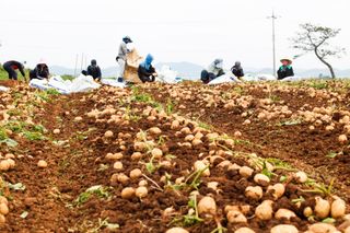 박효식님의 작성글 사진