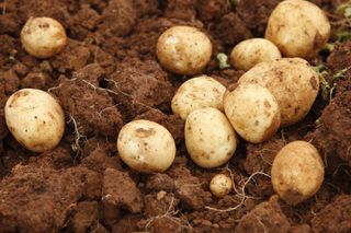 박효식님의 작성글 사진