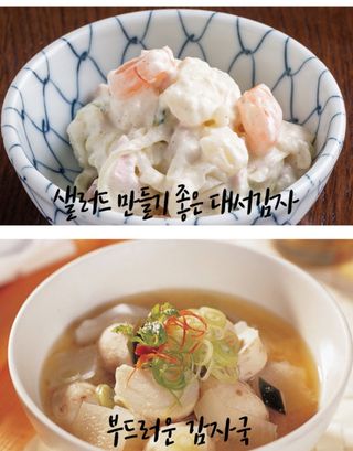 박효식님의 작성글 사진