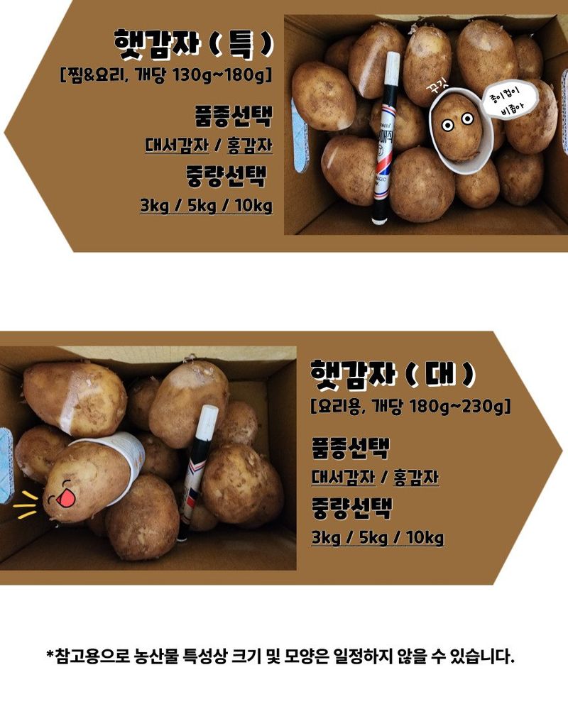 박효식님의 장터 판매 상품 [포슬포슬 대서감자 분감자 10키로 상 (찜용)] 첨부 사진