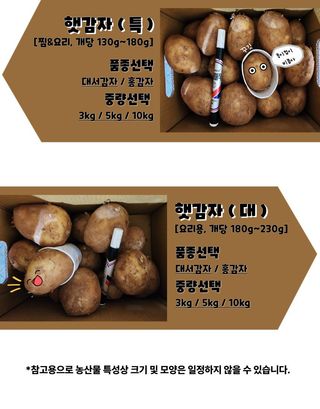 박효식님의 작성글 사진