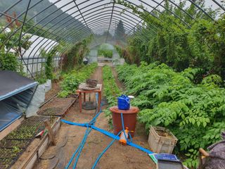 변호연님의 자유주제 · 자유게시판 작성글 사진