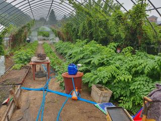 변호연님의 자유주제 · 자유게시판 작성글 사진