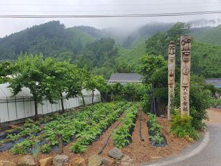 변호연님의 자유주제 · 자유게시판 작성글 사진