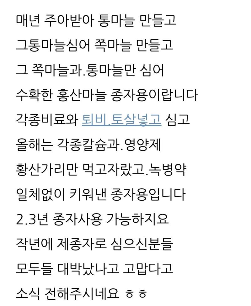 삼성농산님의 장터 판매 상품 [(마감)홍산마늘 큰것만] 첨부 사진