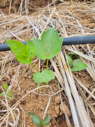 정택님의 자유주제 · 건의해요 작성글 사진