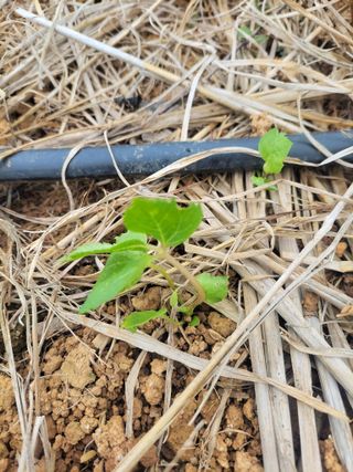 정택님의 자유주제 · 건의해요 작성글 사진