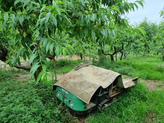 박성호(한복)님의 ☔️장마 대비 하셨나요? · 참여글 작성글 사진
