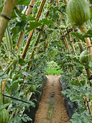 osm님의 자유주제 · 자유게시판 작성글 사진