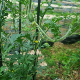 루이스장님의 자유주제 · 자유게시판 작성글 사진