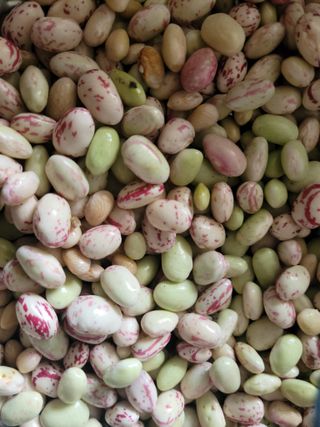 두릅나무20315님의 자유주제 · 자유게시판 작성글 사진