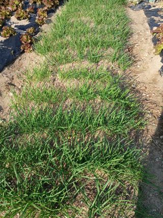 최병화 님의 자유주제 · 자유게시판 작성글 사진