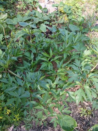 최병화 님의 자유주제 · 자유게시판 작성글 사진