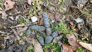 신준철님의 자유주제 · 자유게시판 작성글 사진