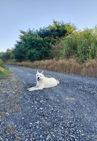 둥이농장(김준태)님의 자유주제 · 자유게시판 작성글 사진